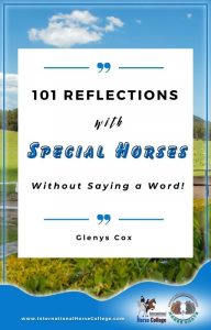 101 Reflections Special Horses Have Taught Me