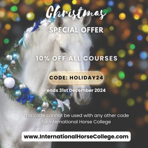 December 2024 Special Discount Offer