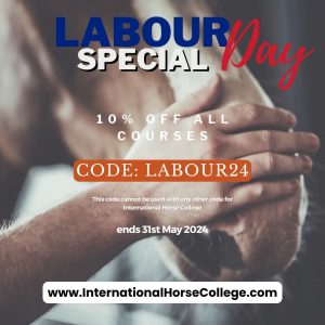 May 2024 Special Discount Offer