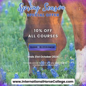 October 2024 Special Discount Offer